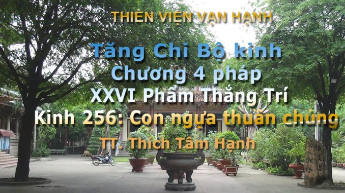Tang-Chi-Bo-kinh-256